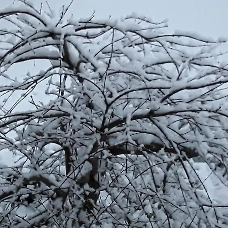 An Der Muehlenbachaue * Nettetal