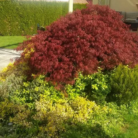 An Der Muehlenbachaue * Nettetal