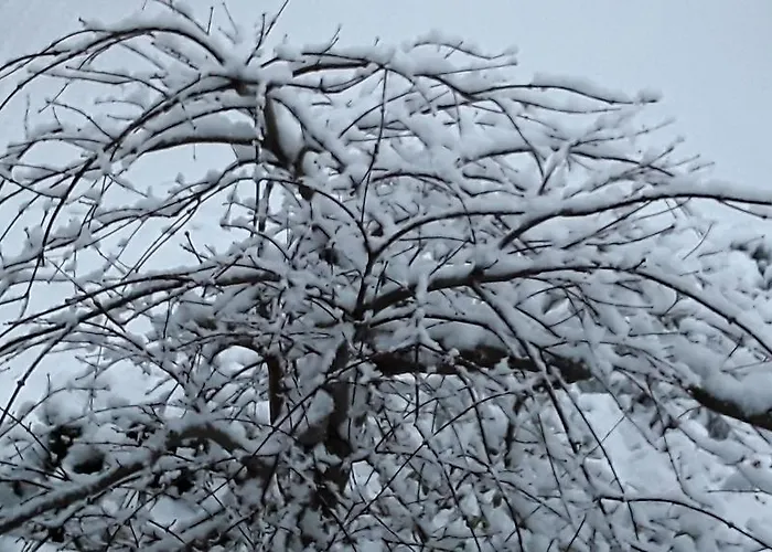 Fewo An Der Muhlenbachaue * Nettetal