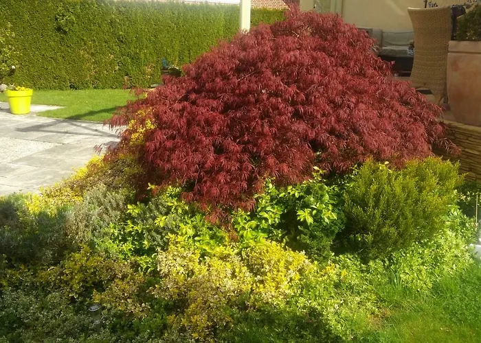 Fewo An Der Muhlenbachaue * Nettetal